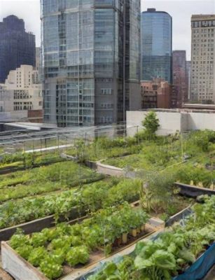  Understanding Urban Agriculture: Cultivating Food Sovereignty in Concrete Jungles